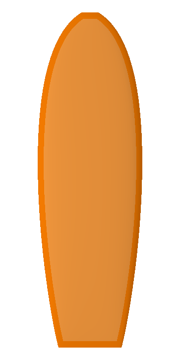Steve Lis Fish